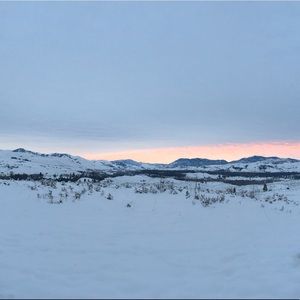 Meet your Posher, Josh